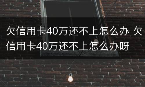 欠信用卡40万还不上怎么办 欠信用卡40万还不上怎么办呀