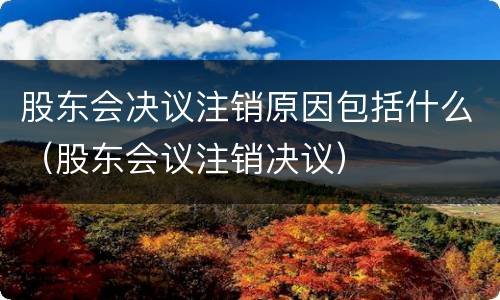 股东会决议注销原因包括什么（股东会议注销决议）