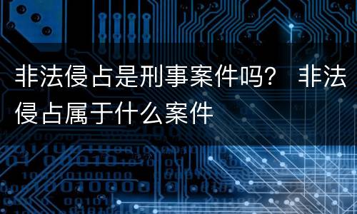 非法侵占是刑事案件吗？ 非法侵占属于什么案件