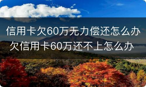 信用卡欠60万无力偿还怎么办 欠信用卡60万还不上怎么办