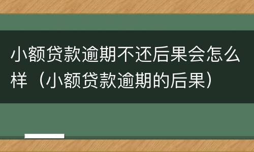 小额贷款逾期不还后果会怎么样（小额贷款逾期的后果）