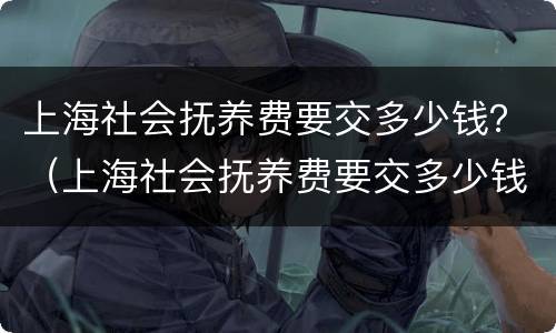 上海社会抚养费要交多少钱？（上海社会抚养费要交多少钱呢）