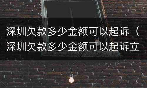 深圳欠款多少金额可以起诉（深圳欠款多少金额可以起诉立案）