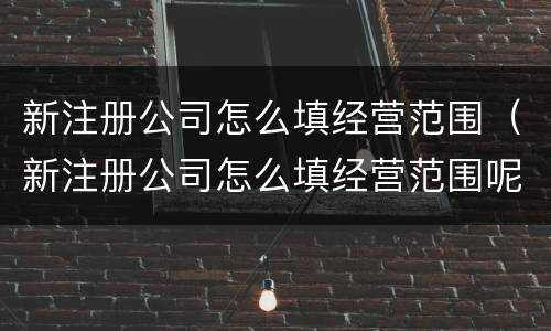 新注册公司怎么填经营范围（新注册公司怎么填经营范围呢）