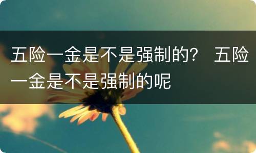 五险一金是不是强制的？ 五险一金是不是强制的呢