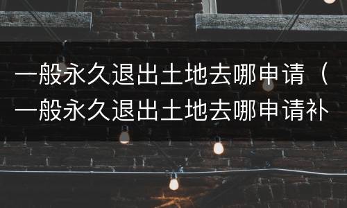 一般永久退出土地去哪申请（一般永久退出土地去哪申请补偿）