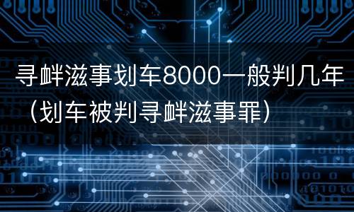寻衅滋事划车8000一般判几年（划车被判寻衅滋事罪）