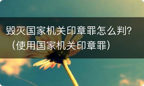 毁灭国家机关印章罪怎么判？（使用国家机关印章罪）