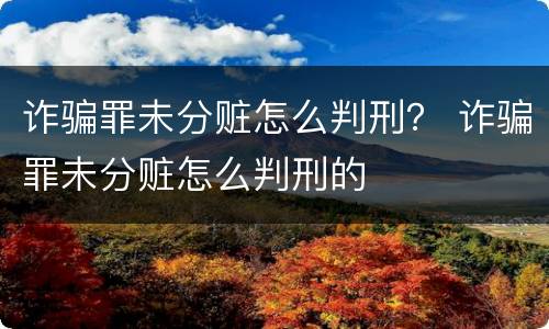诈骗罪未分赃怎么判刑？ 诈骗罪未分赃怎么判刑的