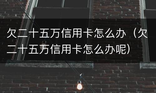 欠二十五万信用卡怎么办（欠二十五万信用卡怎么办呢）