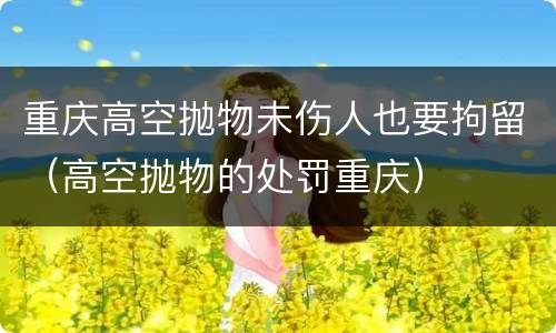 重庆高空抛物未伤人也要拘留（高空抛物的处罚重庆）