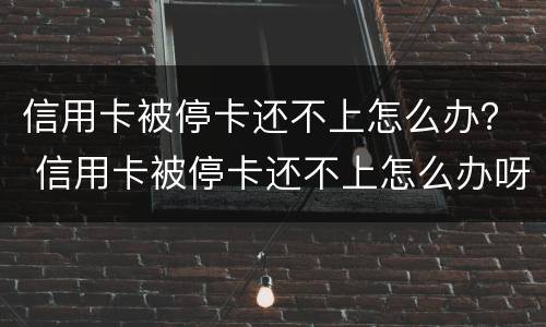 信用卡被停卡还不上怎么办？ 信用卡被停卡还不上怎么办呀