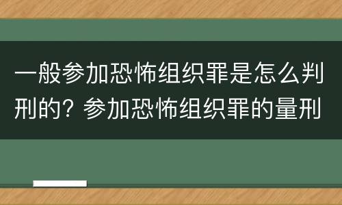 一般参加恐怖组织罪是怎么判刑的? 参加恐怖组织罪的量刑