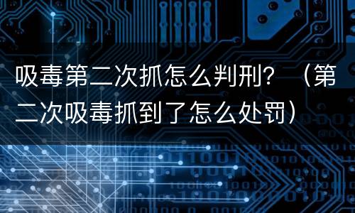吸毒第二次抓怎么判刑？（第二次吸毒抓到了怎么处罚）