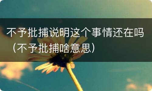 不予批捕说明这个事情还在吗（不予批捕啥意思）