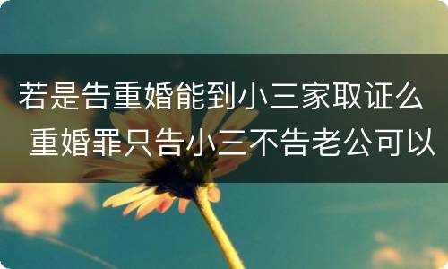 若是告重婚能到小三家取证么 重婚罪只告小三不告老公可以吗