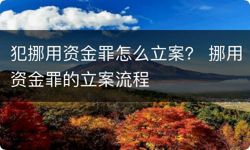 犯挪用资金罪怎么立案？ 挪用资金罪的立案流程