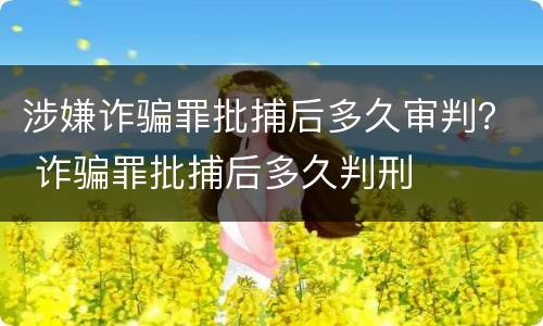 涉嫌诈骗罪批捕后多久审判？ 诈骗罪批捕后多久判刑