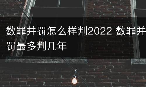 数罪并罚怎么样判2022 数罪并罚最多判几年