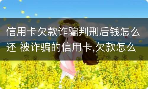 信用卡欠款诈骗判刑后钱怎么还 被诈骗的信用卡,欠款怎么还