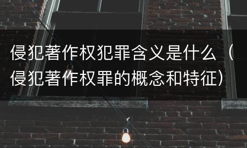 侵犯著作权犯罪含义是什么（侵犯著作权罪的概念和特征）
