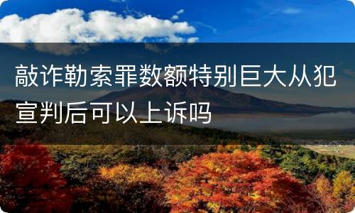敲诈勒索罪数额特别巨大从犯宣判后可以上诉吗
