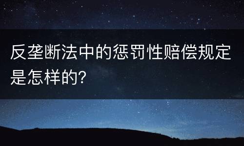 反垄断法中的惩罚性赔偿规定是怎样的？