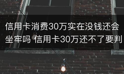 信用卡消费30万实在没钱还会坐牢吗 信用卡30万还不了要判多少年