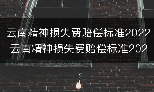 云南精神损失费赔偿标准2022 云南精神损失费赔偿标准2022年