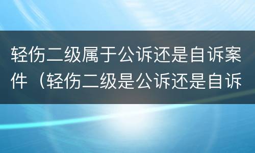 轻伤二级属于公诉还是自诉案件（轻伤二级是公诉还是自诉）
