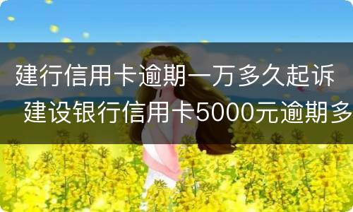 建行信用卡逾期一万多久起诉 建设银行信用卡5000元逾期多久会起诉