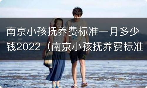 南京小孩抚养费标准一月多少钱2022（南京小孩抚养费标准一月多少钱2021年）