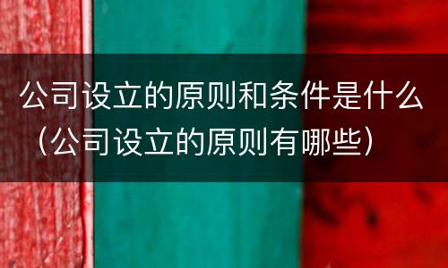 公司设立的原则和条件是什么（公司设立的原则有哪些）