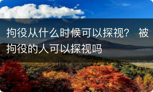 拘役从什么时候可以探视？ 被拘役的人可以探视吗