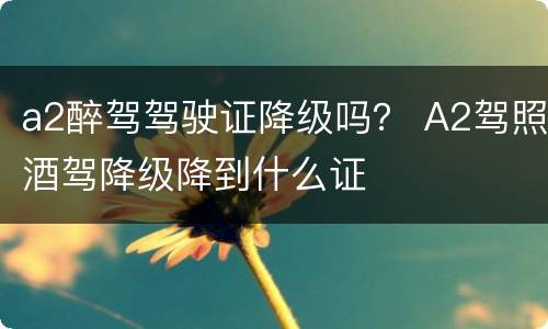 a2醉驾驾驶证降级吗？ A2驾照酒驾降级降到什么证