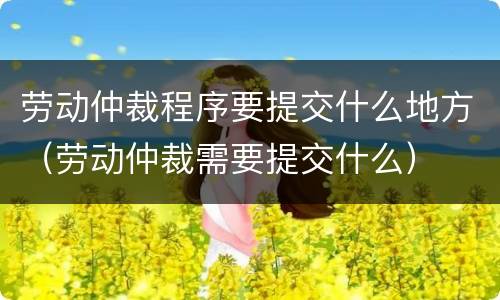 劳动仲裁程序要提交什么地方（劳动仲裁需要提交什么）