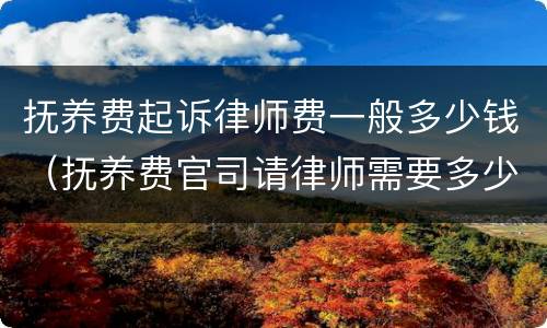 抚养费起诉律师费一般多少钱（抚养费官司请律师需要多少钱）