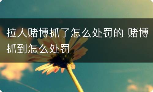 拉人赌博抓了怎么处罚的 赌博抓到怎么处罚