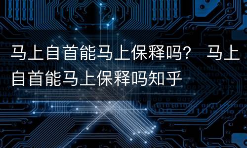 马上自首能马上保释吗？ 马上自首能马上保释吗知乎