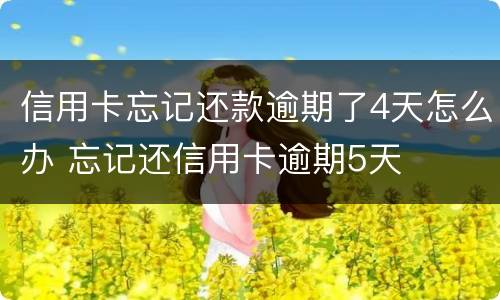 信用卡忘记还款逾期了4天怎么办 忘记还信用卡逾期5天