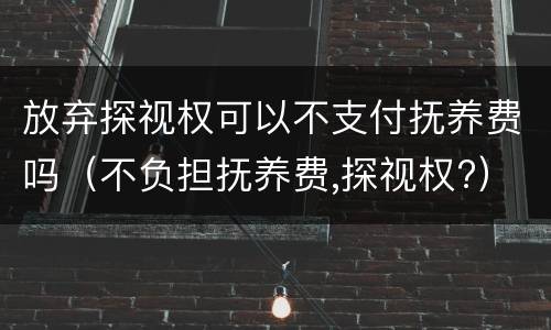 放弃探视权可以不支付抚养费吗（不负担抚养费,探视权?）
