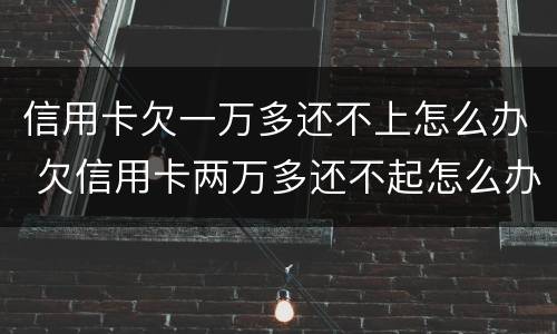信用卡欠一万多还不上怎么办 欠信用卡两万多还不起怎么办