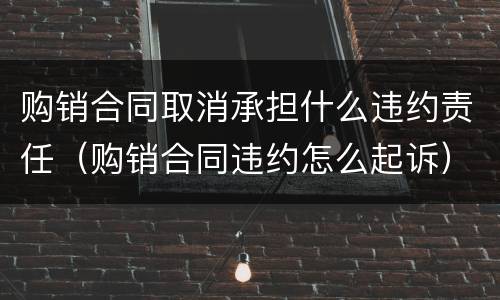 购销合同取消承担什么违约责任（购销合同违约怎么起诉）