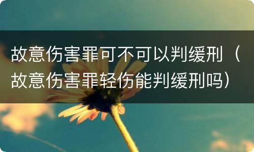 故意伤害罪可不可以判缓刑（故意伤害罪轻伤能判缓刑吗）