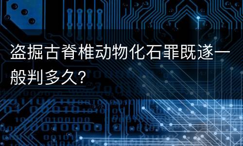 盗掘古脊椎动物化石罪既遂一般判多久？