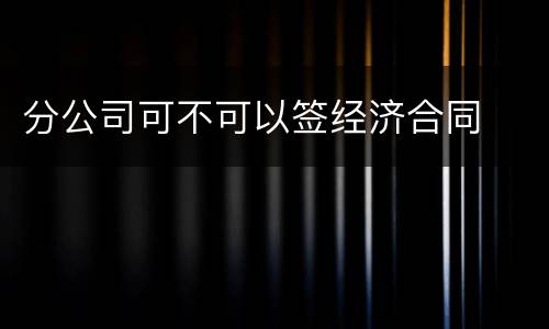 分公司可不可以签经济合同
