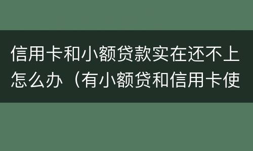 信用卡和小额贷款实在还不上怎么办（有小额贷和信用卡使用影响按揭贷款）