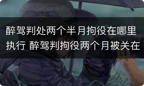 醉驾判处两个半月拘役在哪里执行 醉驾判拘役两个月被关在哪里