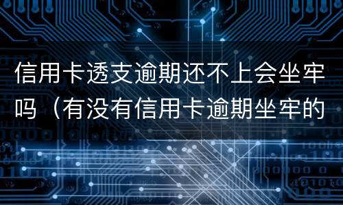 信用卡透支逾期还不上会坐牢吗（有没有信用卡逾期坐牢的老哥）