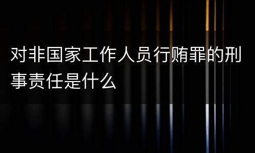 对非国家工作人员行贿罪的刑事责任是什么